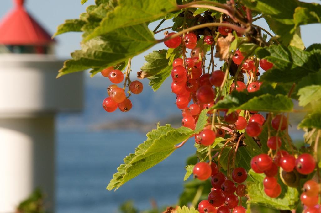 Ulvesund Fyr Bed and Breakfast Rödberg Exterior foto